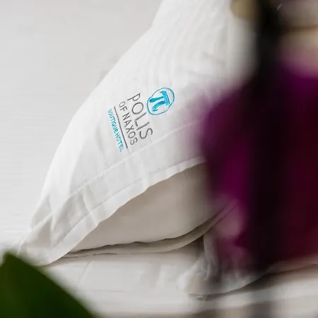 Hotel Polis Of Naxos Naxos City