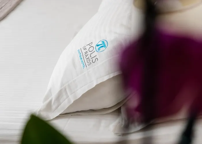 Hotel Polis Of Naxos Naxos City